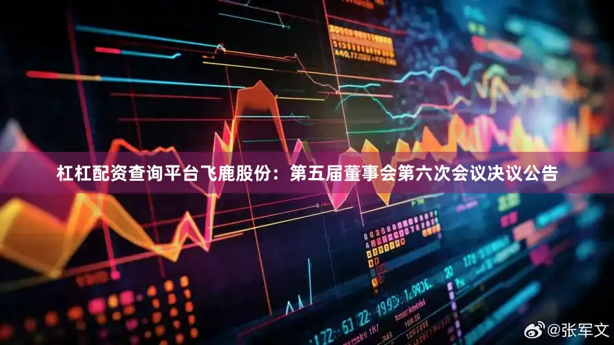 杠杠配资查询平台飞鹿股份：第五届董事会第六次会议决议公告