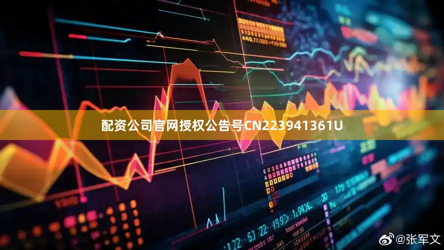 配资公司官网授权公告号CN223941361U