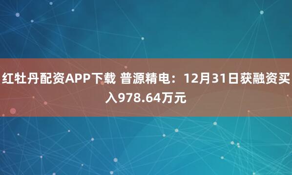 红牡丹配资APP下载 普源精电：12月31日获融资买入978.64万元