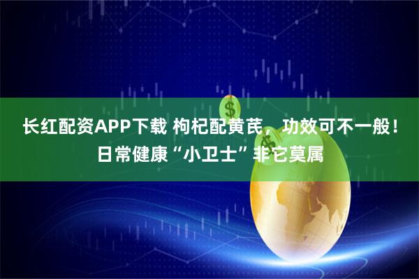 长红配资APP下载 枸杞配黄芪，功效可不一般！日常健康“小卫士”非它莫属